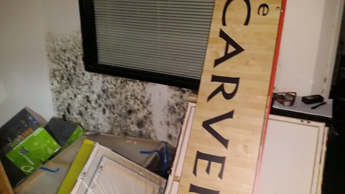 Prime Mold Inspections - Mold Detection Company Picture 7