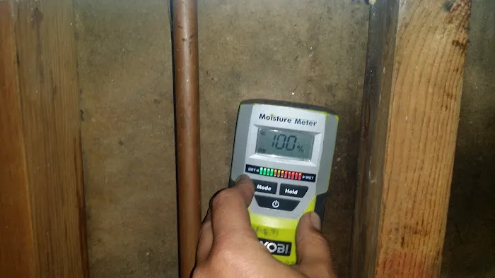 Prime Mold Inspections - Mold Detection Company Picture 3