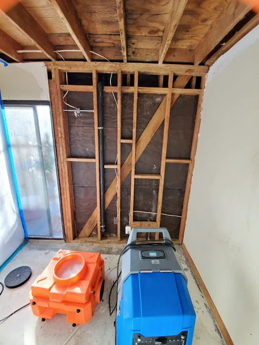 Prime Mold Inspections - Mold Detection Company Picture 8