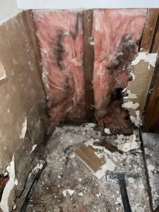 Prime Mold Inspections - Mold Detection Company Picture 10