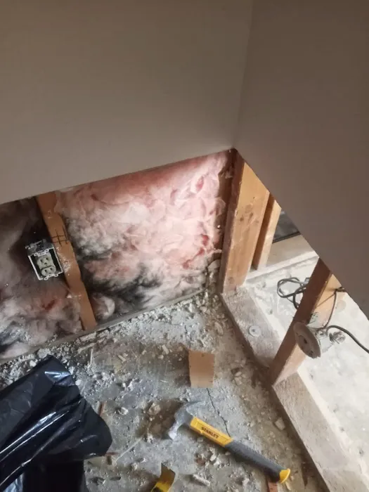 Prime Mold Inspections - Mold Detection Company Picture 5