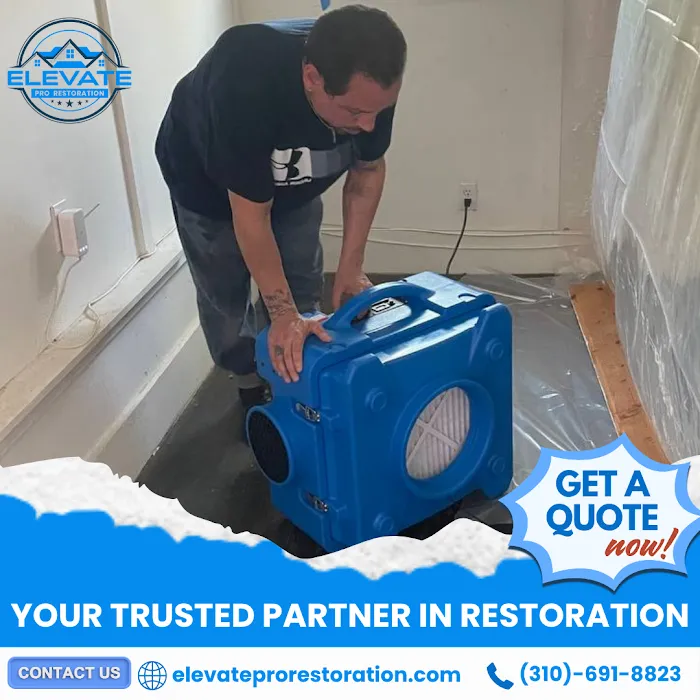 Elevate Pro Restoration Picture 10