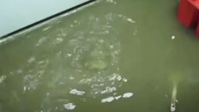 AquaPlus Water Damage Restoration of North Hollywood Picture 4