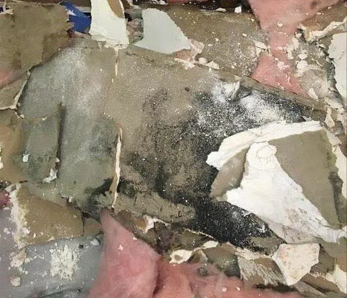 SERVPRO of Irwindale/Baldwin Park Picture 10