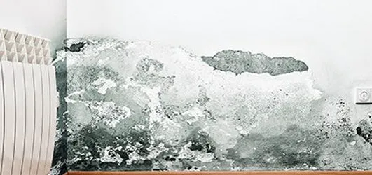 PuroClean Picture 10