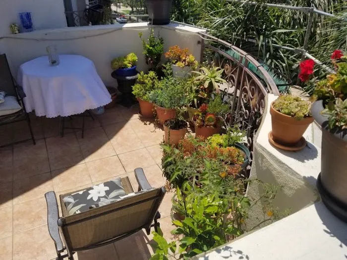 Absolute Maintenance & Consulting Picture 8