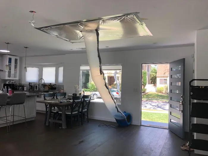 Absolute Maintenance & Consulting Picture 1