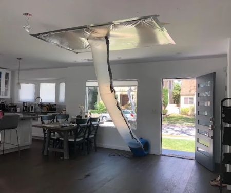 Absolute Maintenance & Consulting