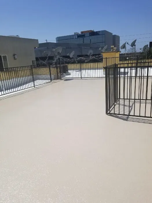 Absolute Maintenance & Consulting Picture 3