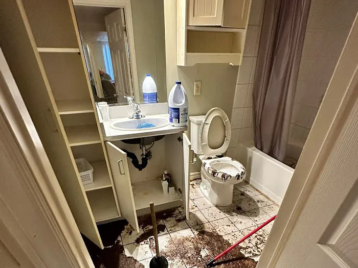 LA County Aqua Revive Restoration Picture 3