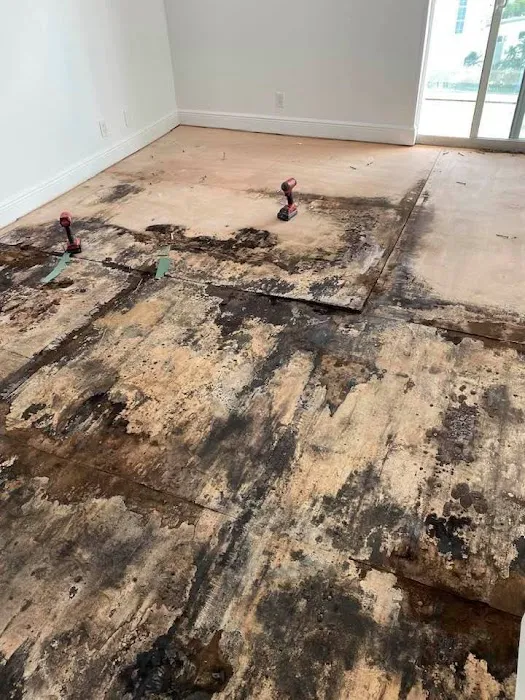 LA County Aqua Revive Restoration Picture 10