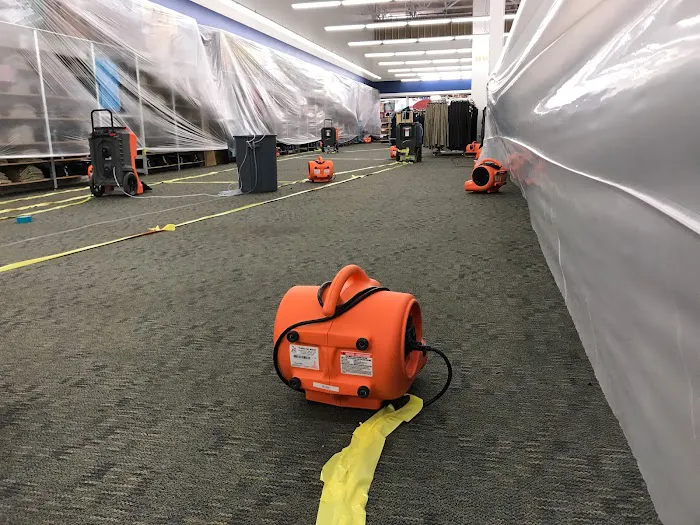 LA County Aqua Revive Restoration Picture 6