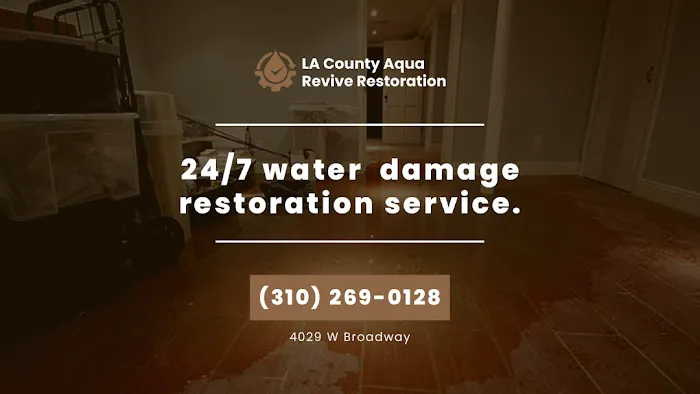 LA County Aqua Revive Restoration Picture 2