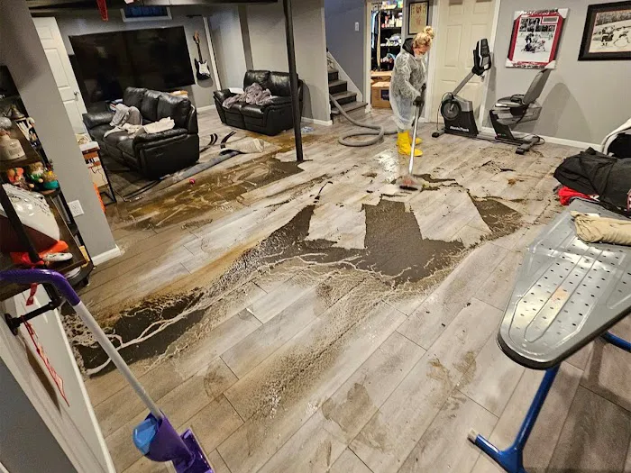 LA County Aqua Revive Restoration Picture 8