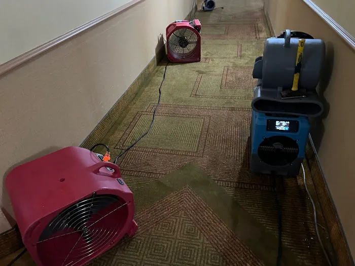 LA County Aqua Revive Restoration Picture 7