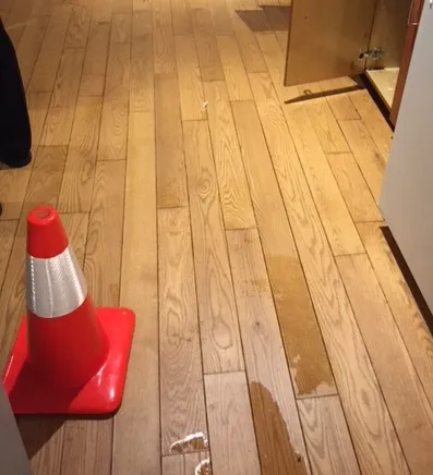 PuroClean of Silicon Beach Picture 1