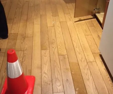 PuroClean of Silicon Beach