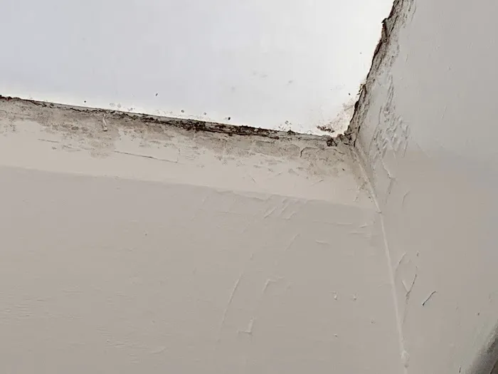 PuroClean of Silicon Beach Picture 8