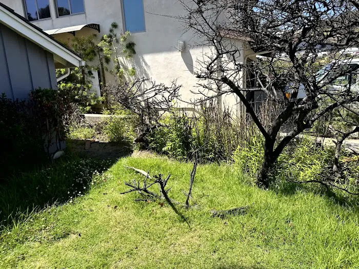 Paul Davis Restoration of West Los Angeles Picture 6