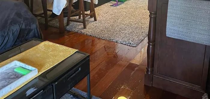 Aqua Guardian Water Restoration & Repair Picture 2