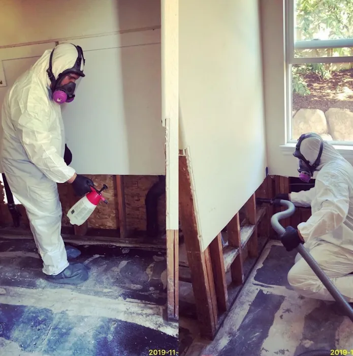 Rytech Restoration Picture 3