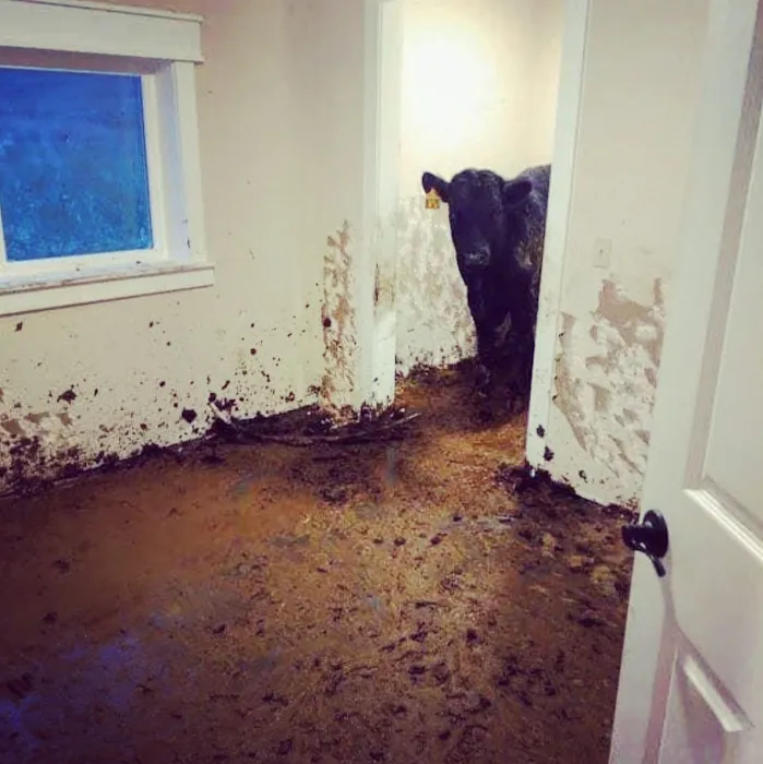 Rytech Restoration Picture 8