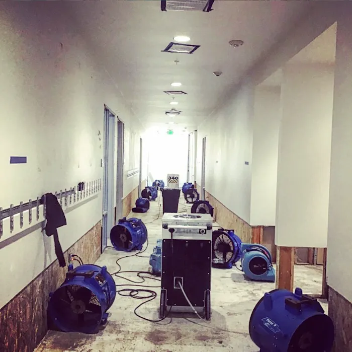 Rytech Restoration Picture 9