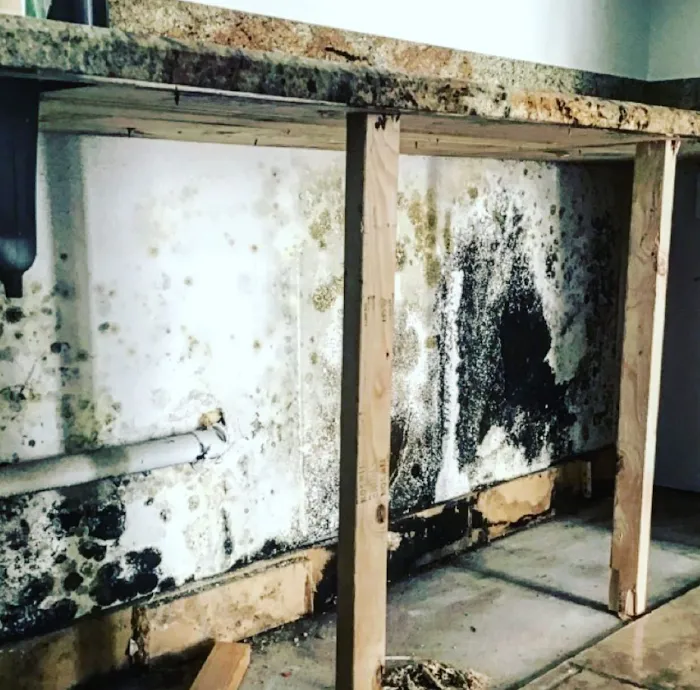 Rytech Restoration Picture 5