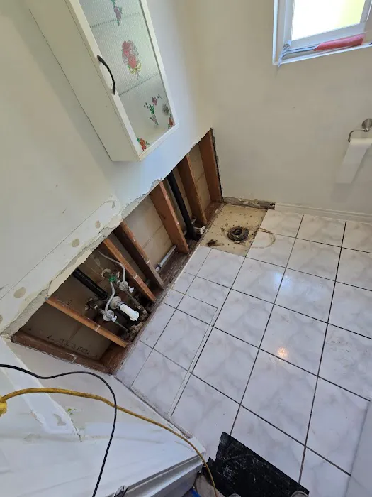 Rapid Response Restoration Picture 9