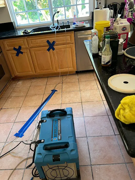 Rapid Response Restoration Picture 10