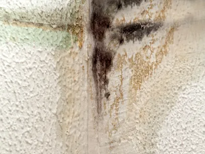 On The Clock Restoration Picture 3