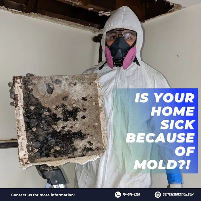 COTTY Restoration Inc. Picture 4