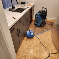 Southern Comfort ico