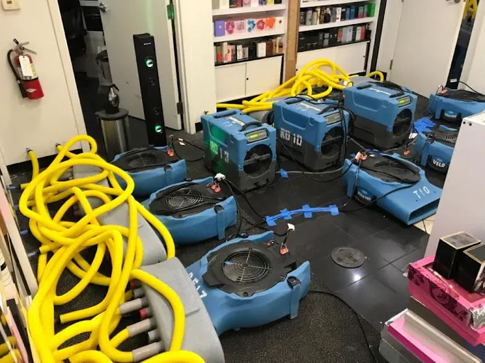 Southern Comfort Picture 7