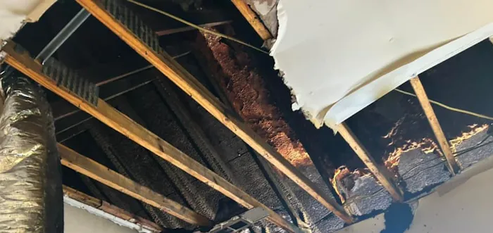 Southern Comfort Picture 10