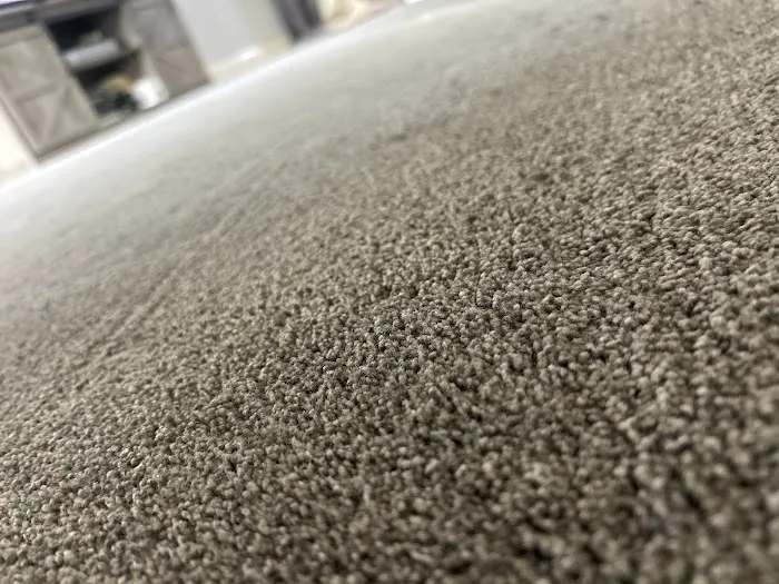 Stanley Steemer Picture 3