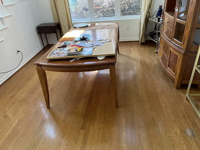 Stanley Steemer Picture 10