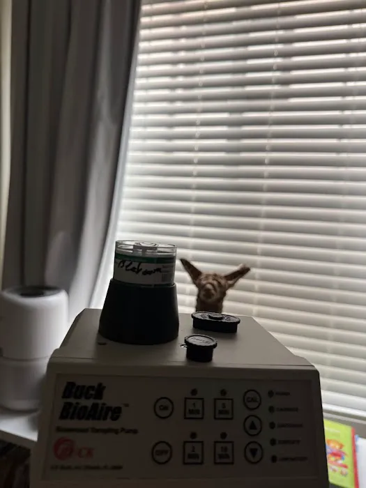 Wendy Water Damage Restoration Picture 6