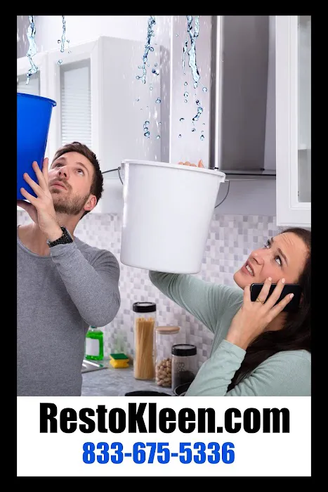 Restokleen Picture 6