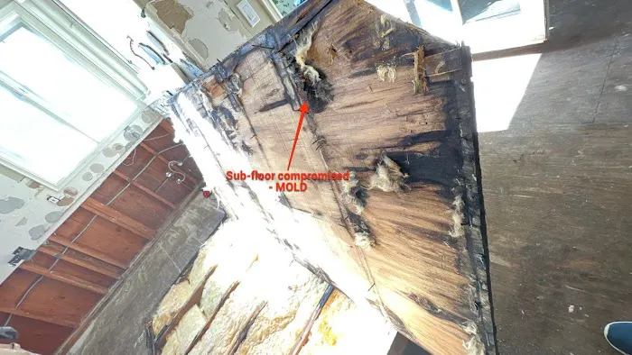 Restokleen Picture 9