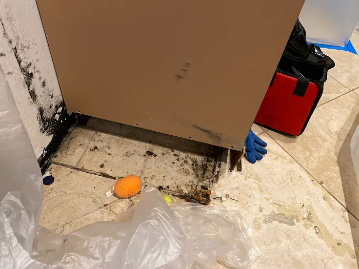 One of a Kind Restoration Picture 9