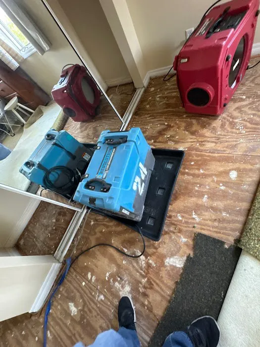 One of a Kind Restoration Picture 3