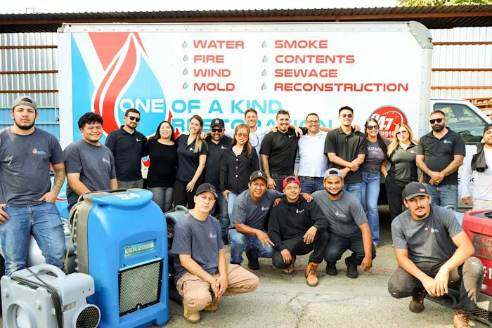 One of a Kind Restoration Picture 7