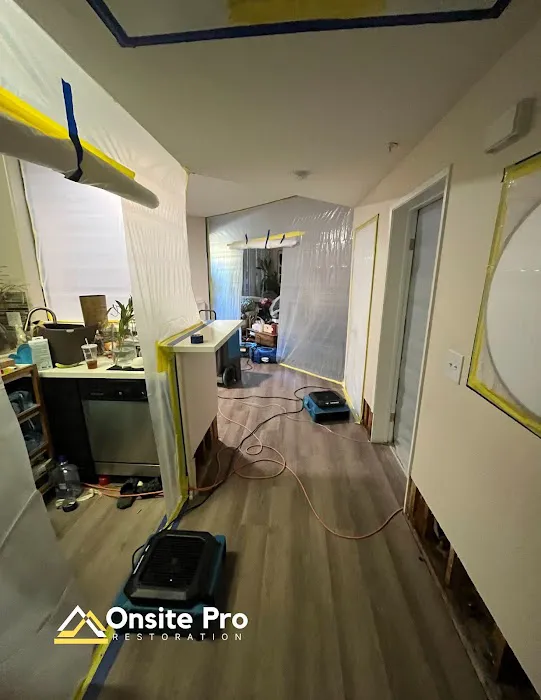 Onsite Pro Restoration Picture 4