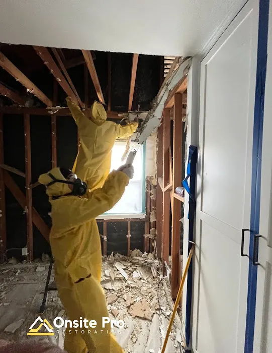 Onsite Pro Restoration Picture 6