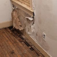 HiTech Water Damage Service ico