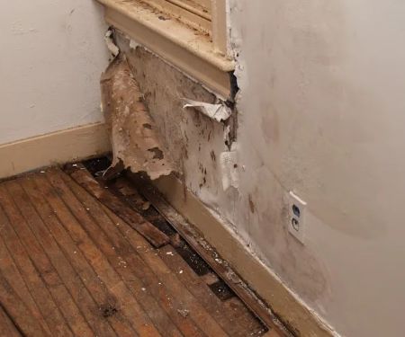 HiTech Water Damage Service