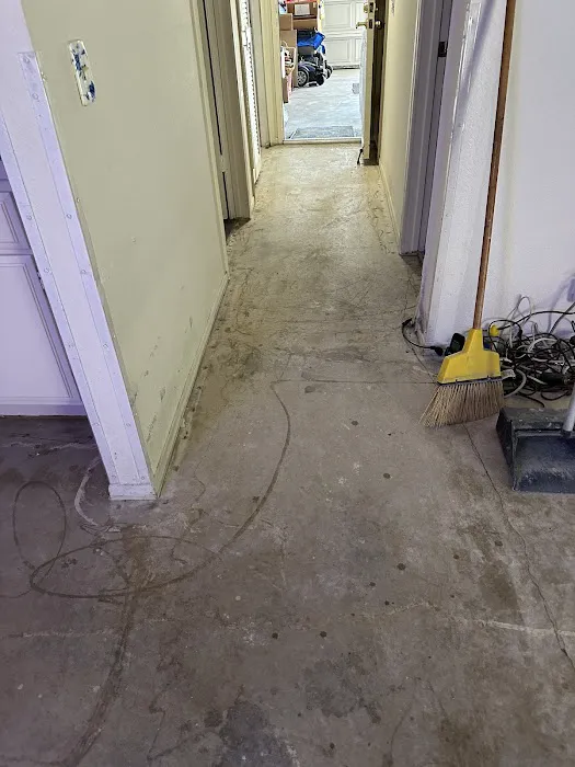 Dryout Cleanup & Restoration Picture 8