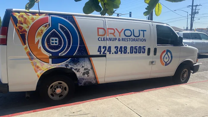 Dryout Cleanup & Restoration Picture 6