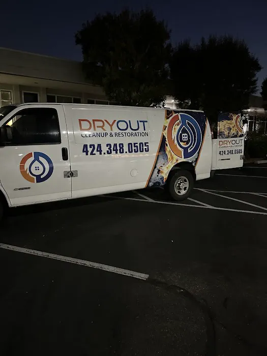 Dryout Cleanup & Restoration Picture 3